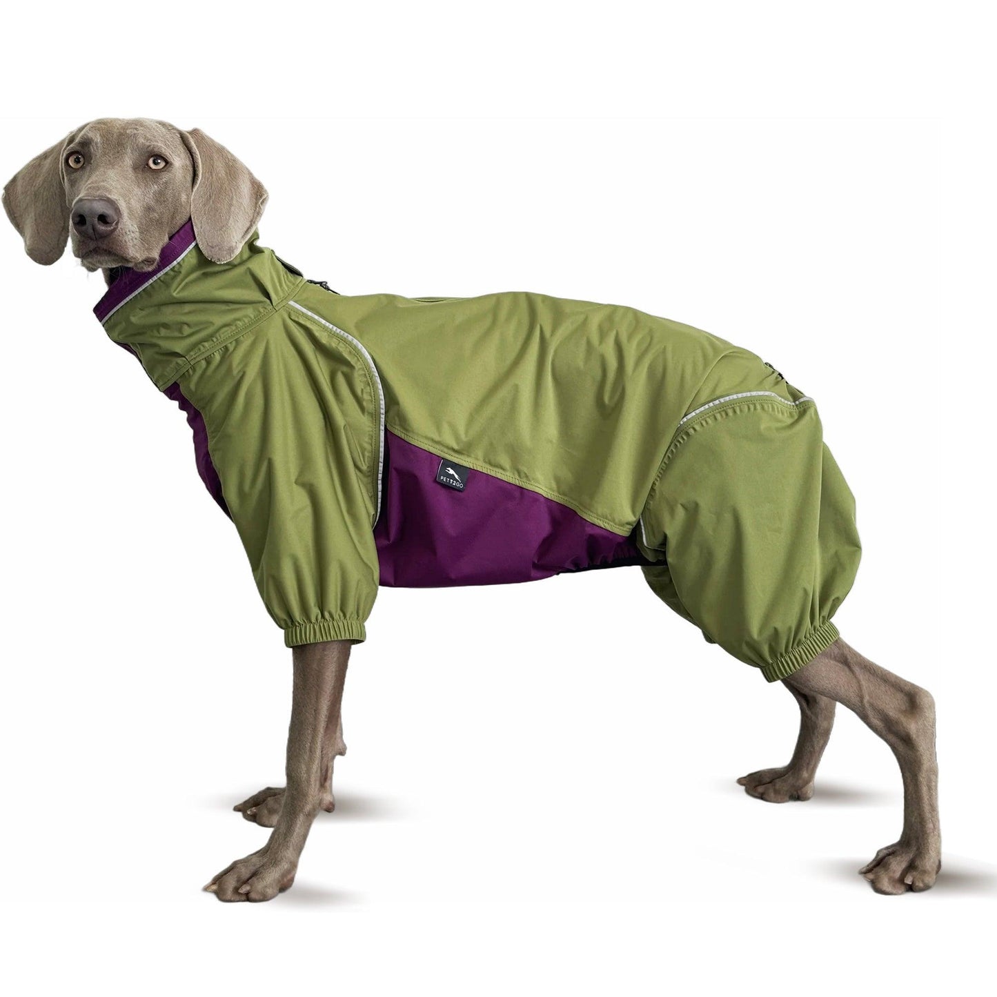 Dog Breathable Raincoat With Legs - Avocado Green - PETT2GO