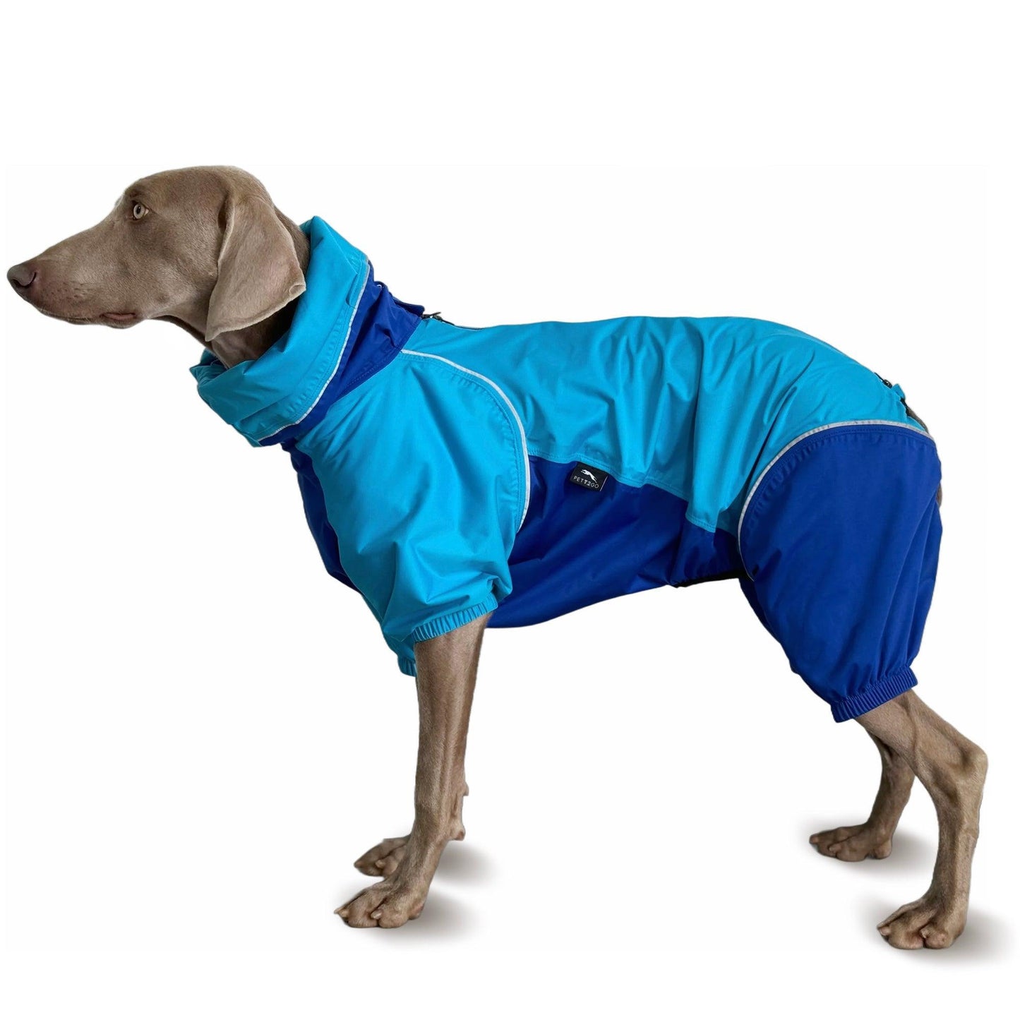 Dog Breathable Raincoat With Legs - Sky Blue - PETT2GO