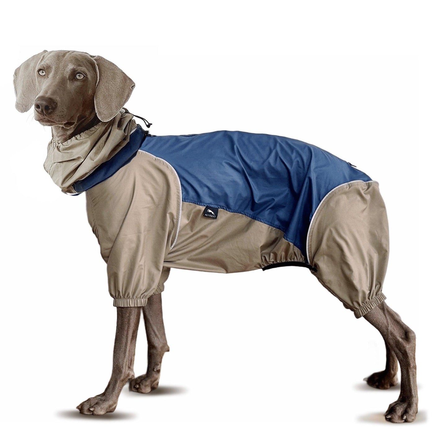 Dog Lightweight Windbreaker-Dog Outdoor Jacket-Navy Blue - PETT2GO